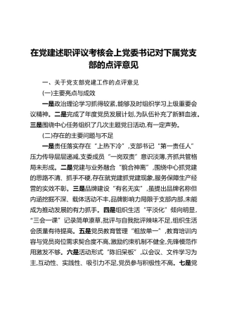 在党建述职评议考核会上党委书记对下属党支部的点评意见