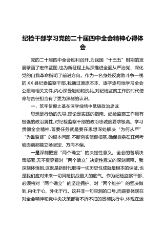 纪检干部学习党的二十届四中全会精神心得体会
