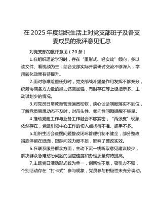 在2025年度组织生活上对党支部班子及各支委成员的批评意见汇总