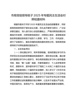 市局党组领导班子2025年专题民主生活会对照检查材料