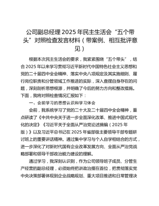 公司副总经理2025年民主生活会“五个带头”对照检查发言材料（带案例、相互批评意见）