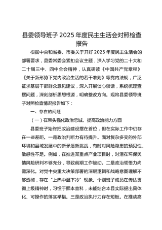 县委领导班子2025年度民主生活会对照检查报告