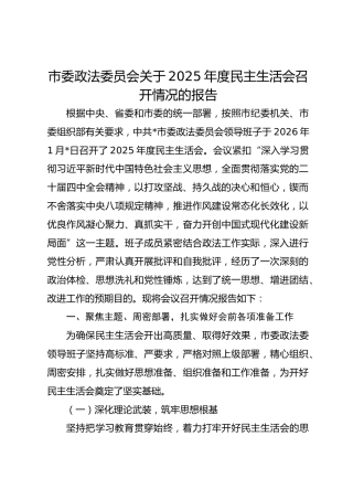 市委政法委员会关于2025年度民主生活会召开情况的报告
