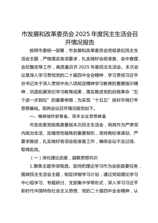 市发展改革委2025年度民主生活会召开情况报告