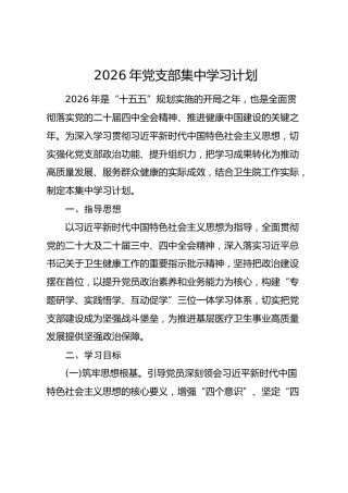2026年卫生院党支部集中学习计划要点