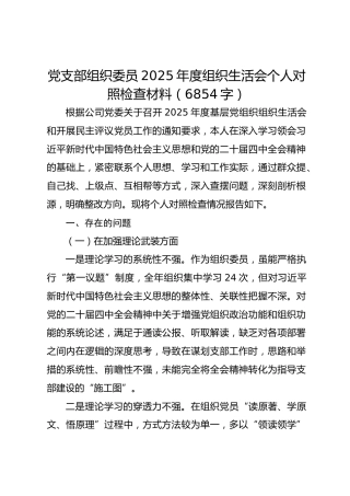 党支部组织委员2025年度组织生活会个人对照检查材料