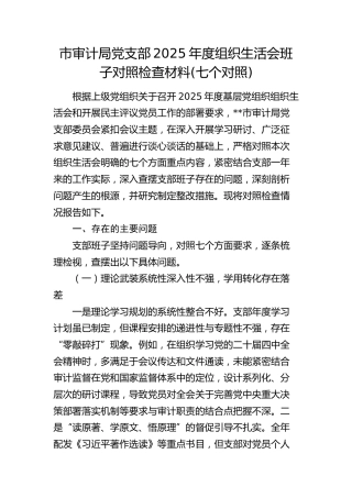 市审计局党支部2025年度组织生活会班子对照检查材料(含民族共同体意识)