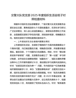 交警大队党支部2025年度组织生活会班子对照检查（7个方面版）