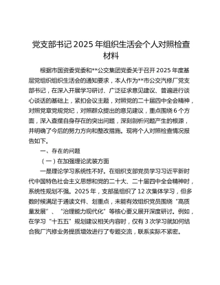 公司2025年度组织生活会个人对照检查2