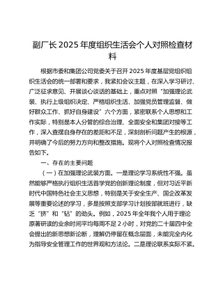公司2025年度组织生活会个人对照检查1
