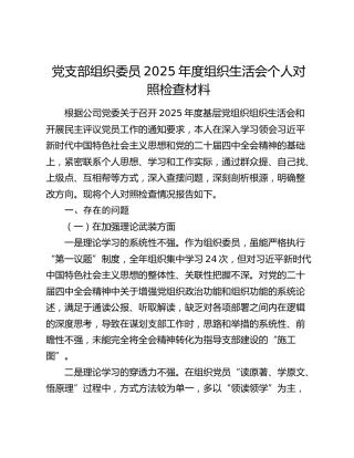 党支部组织委员2025年度组织生活会个人对照检查（公交公司）