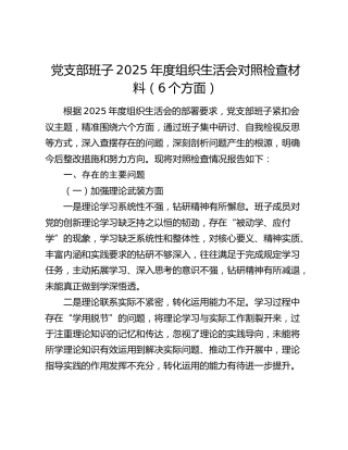 党支部班子2025年度组织生活会对照检查