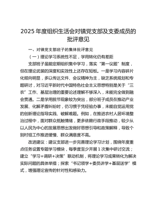 2025年度组织生活会对乡镇党支部及支委成员的批评意见、整改建议（问题清单）