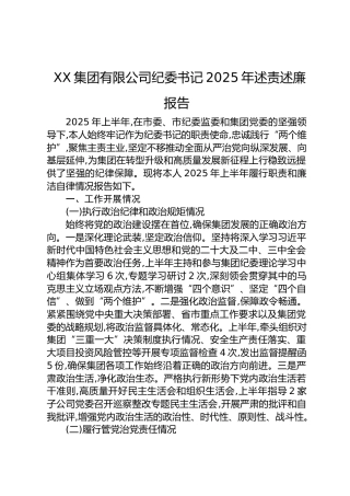 公司纪委书记2025年述责述廉报告