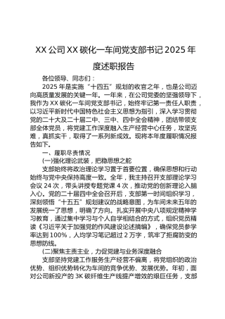 公司党支部书记2025年度述职报告