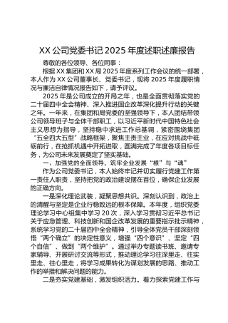 公司党委书记2025年度述职述廉报告