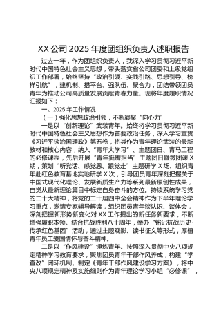 公司2025年度团组织负责人述职报告