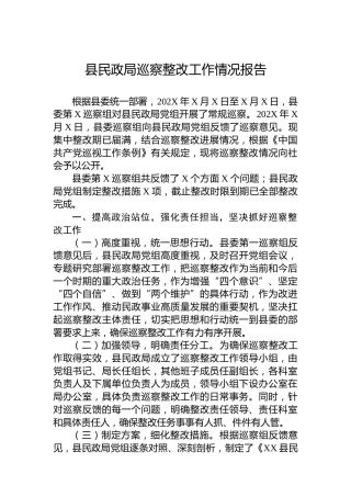 县民政局巡察整改工作情况报告