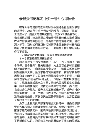 录县委书记学习中央一号件心得体会