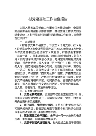 村党建基础工作自查报告
