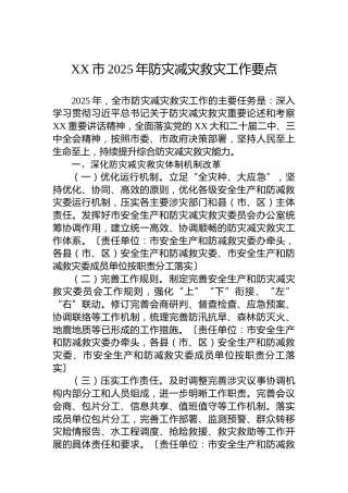 XX市2025年防灾减灾救灾工作要点