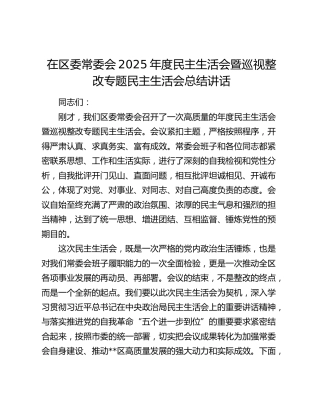 在区委常委会2025年度民主生活会暨巡视整改专题民主生活会总结讲话