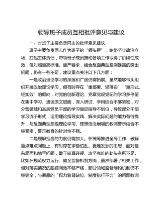 领导班子成员互相批评意见与建议