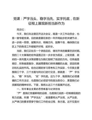 党课：严字当头、稳字当先、实字托底，在新征程上展现新担当新作为