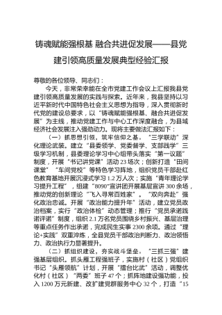 铸魂赋能强根基融合共进促发展——县党建引领高质量发展典型经验汇报
