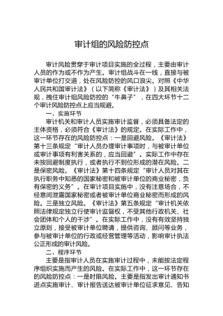 审计组的风险防控点