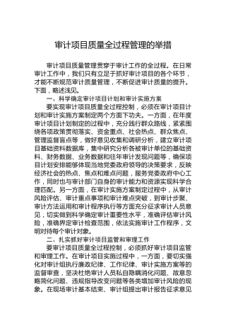 审计项目质量全过程管理的举措