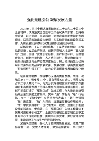 强化党建引领凝聚发展力量