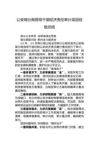 公安局分局领导干部经济责任审计项目经验总结