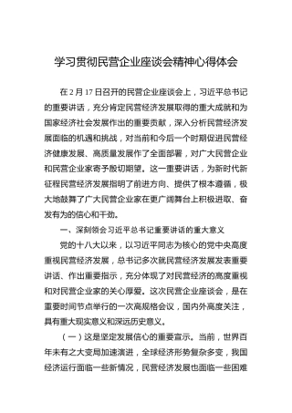 学习贯彻民营企业座谈会精神心得体会