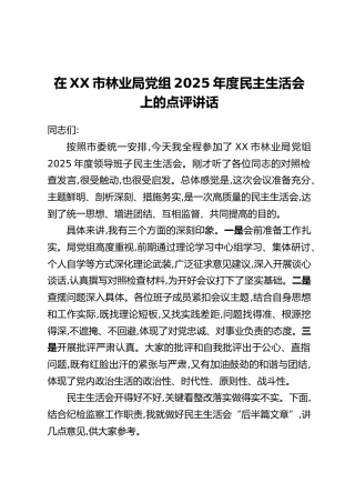 在XX市林业局党组2025年度民主生活会上的点评讲话
