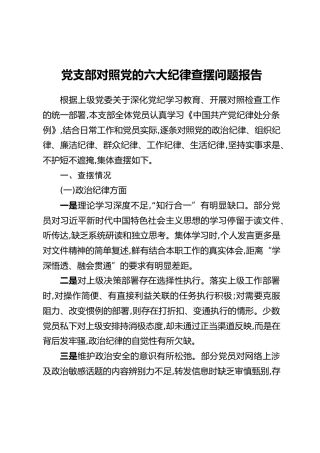 党支部对照党的六大纪律查摆问题报告