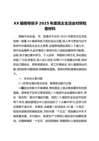 XX镇领导班子2025年度民主生活会对照检查材料