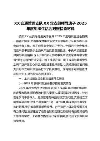 XX交通管理支队XX党支部领导班子2025年度组织生活会对照检查材料