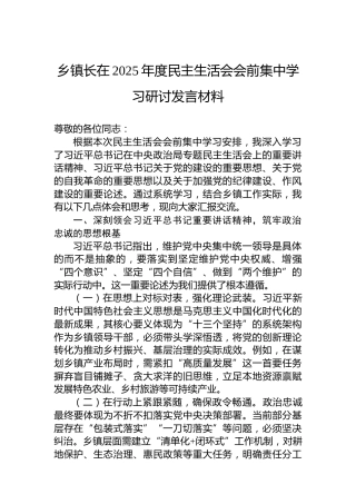 乡镇长在2025年度民主生活会会前集中学习研讨发言材料