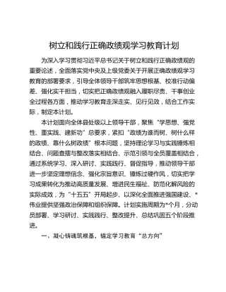 树立和践行正确政绩观学习教育计划