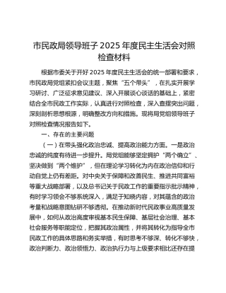 市民政局领导班子2025年度民主生活会对照检查材料（五个带头）