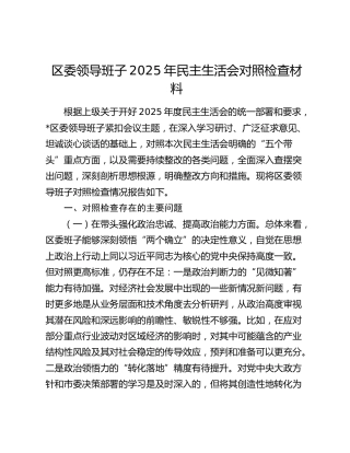 区委领导班子2025年民主生活会对照检查材料（五个带头+典型案例剖析）
