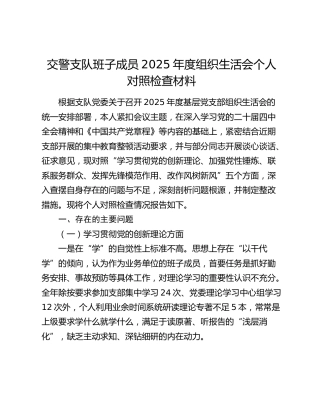 交警支队班子成员2025年度组织生活会个人对照检查材料（五个方面）
