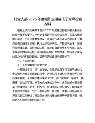 村党支部2025年度组织生活会班子对照检查材料（六个方面）