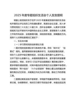 2025年度专题组织生活会个人发言提纲（五个方面）