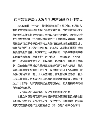 市应急管理局2026年机关意识形态工作要点