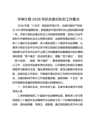 市审计局2026年机关意识形态工作要点