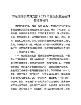 市经信局机关党支部2025年度组织生活会对照检查材料
