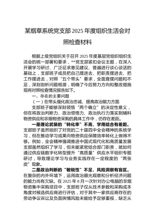 某烟草系统党支部2025年度组织生活会对照检查材料