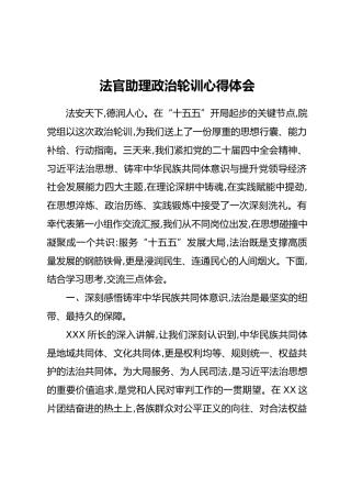 法官助理政治轮训心得体会